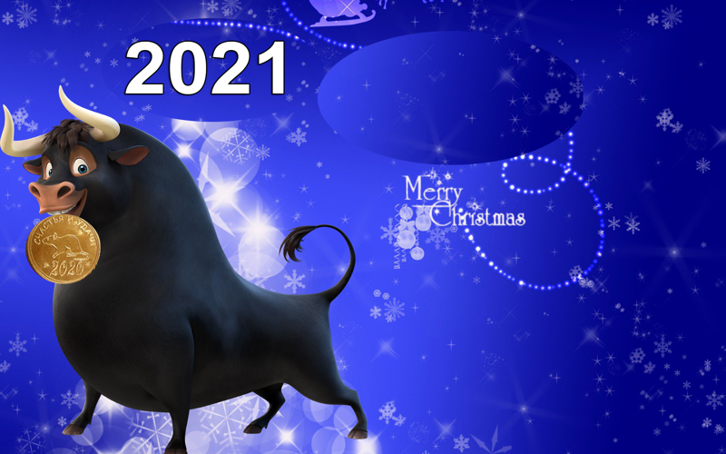 бык 2021